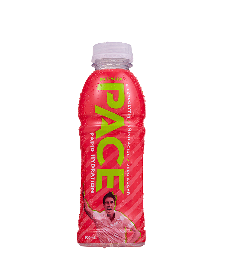 Rapid Hydration Watermelon - 12x500mL